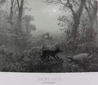Bild Nr.1: 137-2667 Sammlung: (Varia, Jagd)