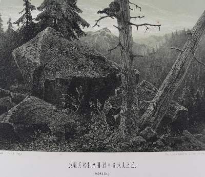 Bild Nr.4: 137-2667 Sammlung: (Varia, Jagd)