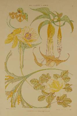 Bild Nr.2: 137-2669 Jugendstil-Ornamente.: (Varia, Jugendstil)