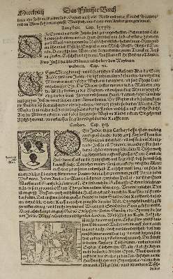 Bild Nr.3: 137-2704 Konvolut: (Varia, Musik)