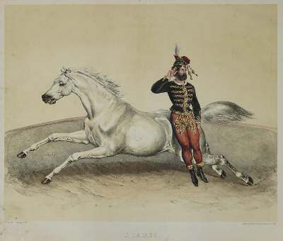 Bild Nr.1: 137-2734 Album der Reitkünstler.: (Varia, Zirkus)