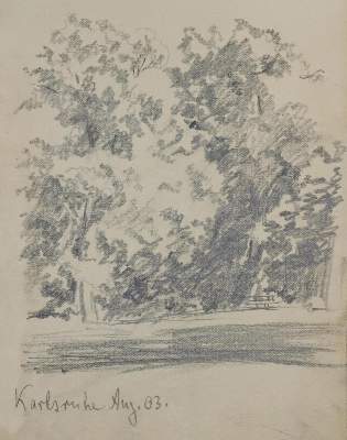 Bild Nr.21: 137-2736 Schleiereule.: (Varia, Zoologie, Eule)