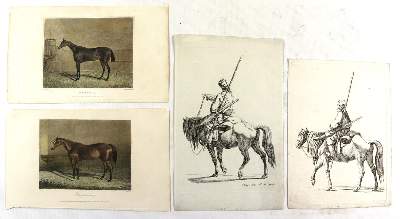 Bild Nr.2: 137-2740 Pferde.: (Varia, Zoologie)