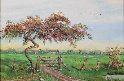 Bild Nr.1: 137-2848 Konvolut: (Ausland, Amerika)