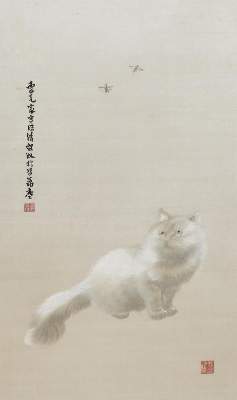 Bild Nr.1: 137-2878 Perserkatze.: (Ausland, Asien)
