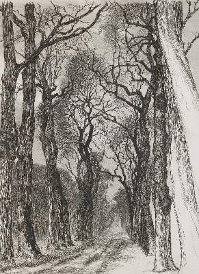 Bild Nr.1: 137-3257 Bracquemond, Felix: (Künstlergraphik)
