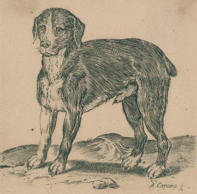 Bild Nr.1: 137-3280 Carracci, Agostino: (Künstlergraphik)
