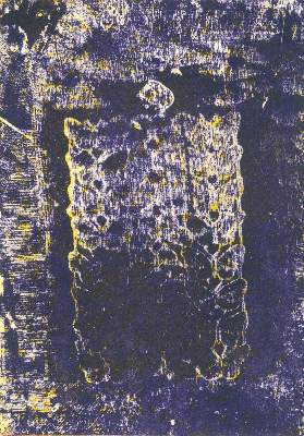 Bild Nr.1: 137-3381 Ernst, Max: (Künstlergraphik)