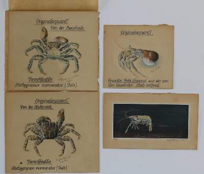 Bild Nr.2: 137-3408 Fleischmann, Josef: (Künstlergraphik)