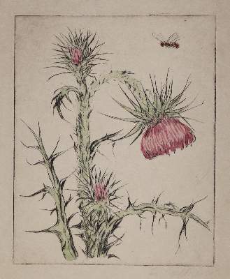 Bild Nr.2: 137-3494 Henne, Artur: (Künstlergraphik)