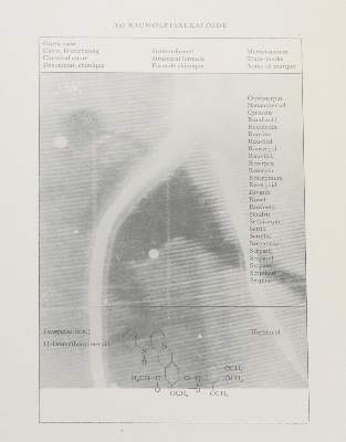 Bild Nr.1: 137-3852 Polke, Sigmar: (Künstlergraphik)