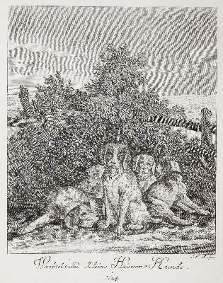 Bild Nr.1: 137-3899 Ridinger, Johann Elias: (Künstlergraphik)