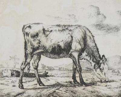 Bild Nr.1: 137-4102 Velde, Adriaen van de: (Künstlergraphik)