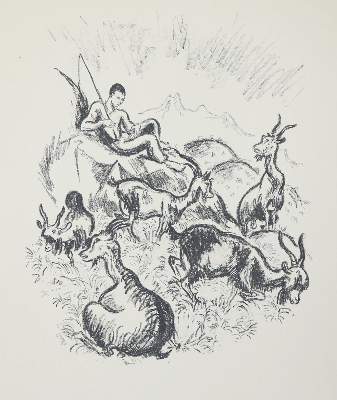 Bild Nr.1: 137-535 Rückgänge: (Varia)