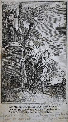 Bild Nr.41: 137-537 Rückgänge: (Varia)