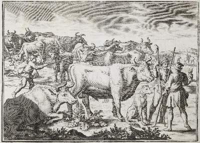 Bild Nr.1: 137-608 Florinus,F.P.: (Küche und Haushalt, Hausväterliteratur)