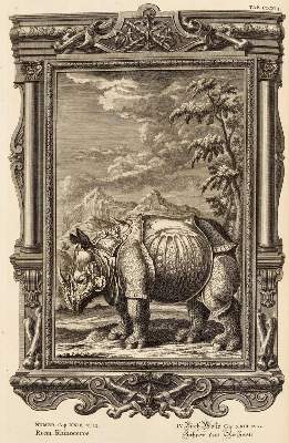 Bild Nr.2: 137-61 Scheuchzer,J.J.: (Bibeln)