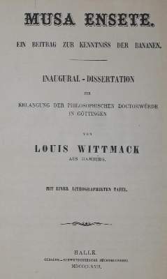 Bild Nr.1: 137-690 Wittmack,L.: (Land- und Forstwirtschaft, Obstbau, Bananen)