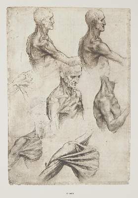 Bild Nr.1: 137-786 Vinci, L.da.: (Kunstwissenschaft)