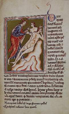 Bild Nr.1: 137-813 Bestiarium.: (Faksimile, Ashmole)
