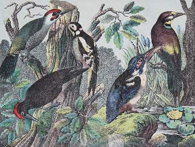 Bild Nr.1: 137-930 Klebealbum: (Kinder- und Jugendbücher)