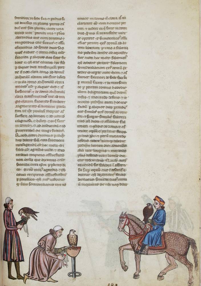 Große Abbildung Nr.1: 138-1074 Friedrich II.: (Faksimile)