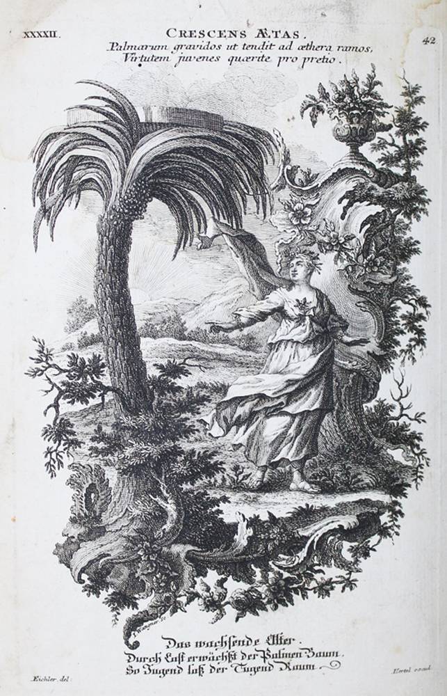 Große Abbildung Nr.3: 138-120 Ripa,C.: (Emblemata)