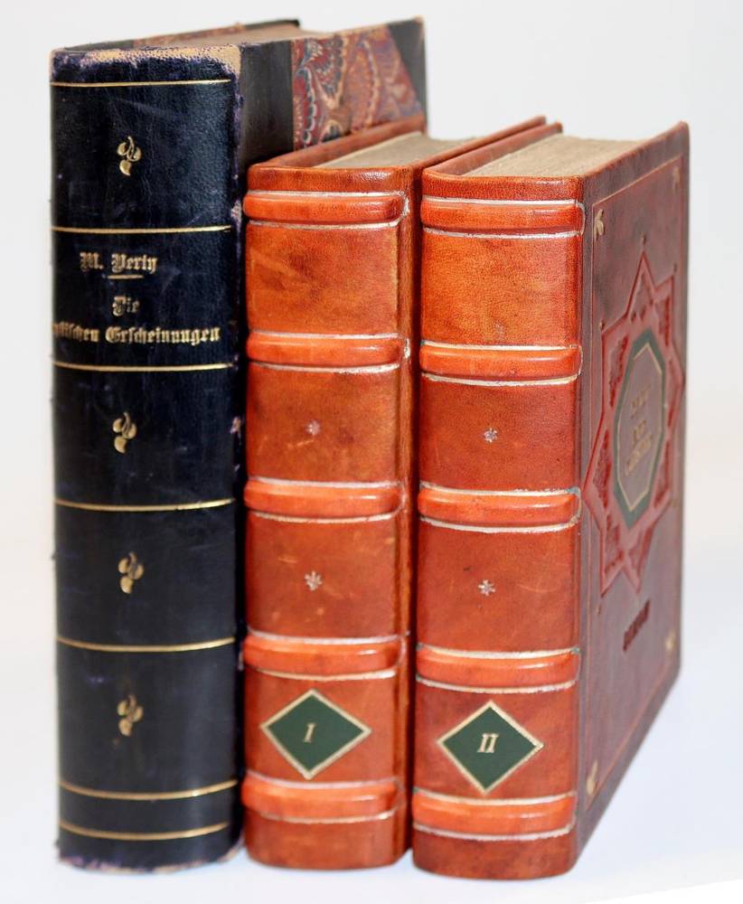 Große Abbildung Nr.1: 138-1302 Brauner Ledereinband: (Einband)