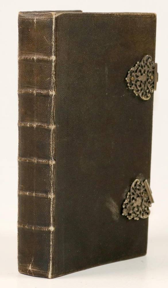 Große Abbildung Nr.1: 138-1315 Rochenleder-Einband: (Einband)