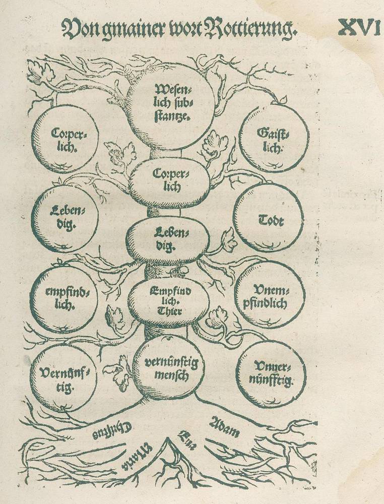 Große Abbildung Nr.2: 138-136 Fuchsperger,O.: (Alte Drucke, Handschriften und Theologie)