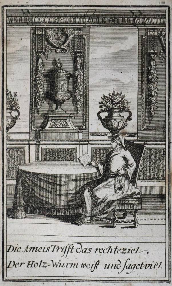Große Abbildung Nr.2: 138-1417 (Richter,C.G.).: (Literatur und illustrierte Bücher bis 19.Jahrhundert)