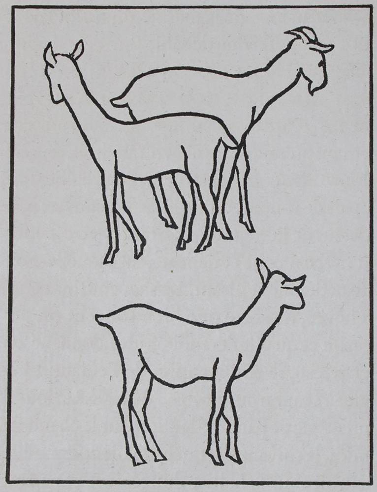 Große Abbildung Nr.1: 138-1548 Longus.: (Maillol)