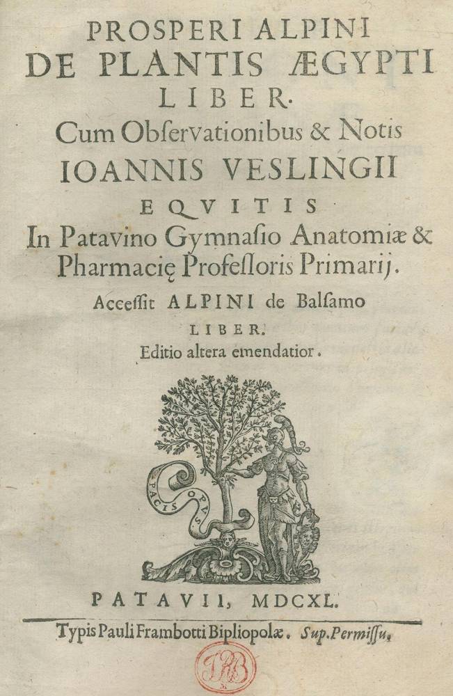 Große Abbildung Nr.1: 138-1616 Alpini,P.: (Botanik, Ägypten)
