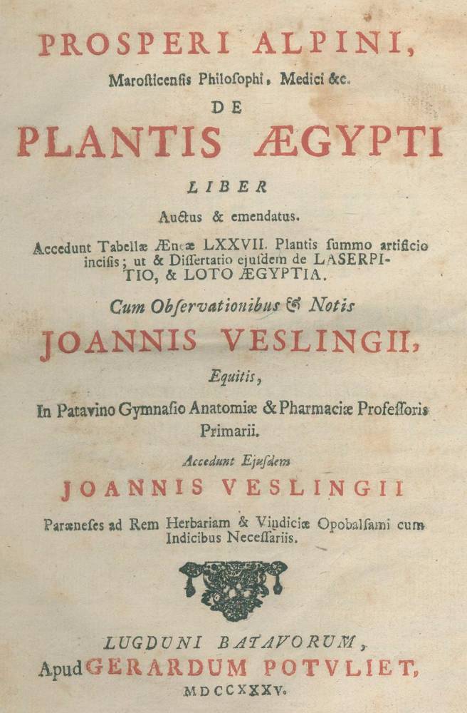 Große Abbildung Nr.1: 138-1617 Alpino,P.: (Botanik, Ägypten)