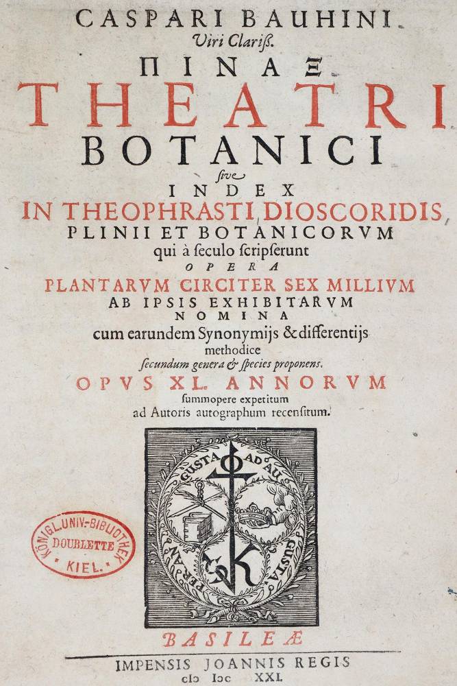 Große Abbildung Nr.1: 138-1620 Bauhin,C.: (Botanik)