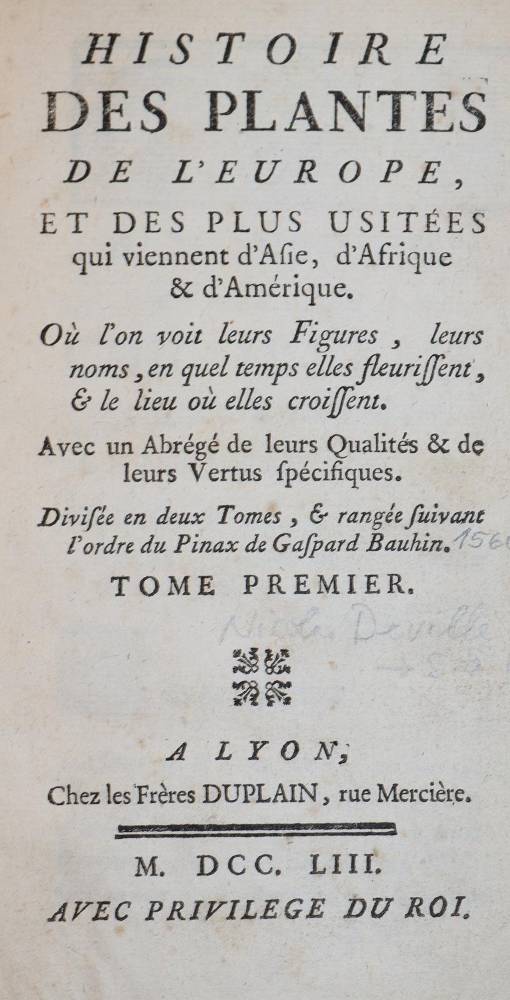 Große Abbildung Nr.1: 138-1621 Bauhin,G.: (Botanik)
