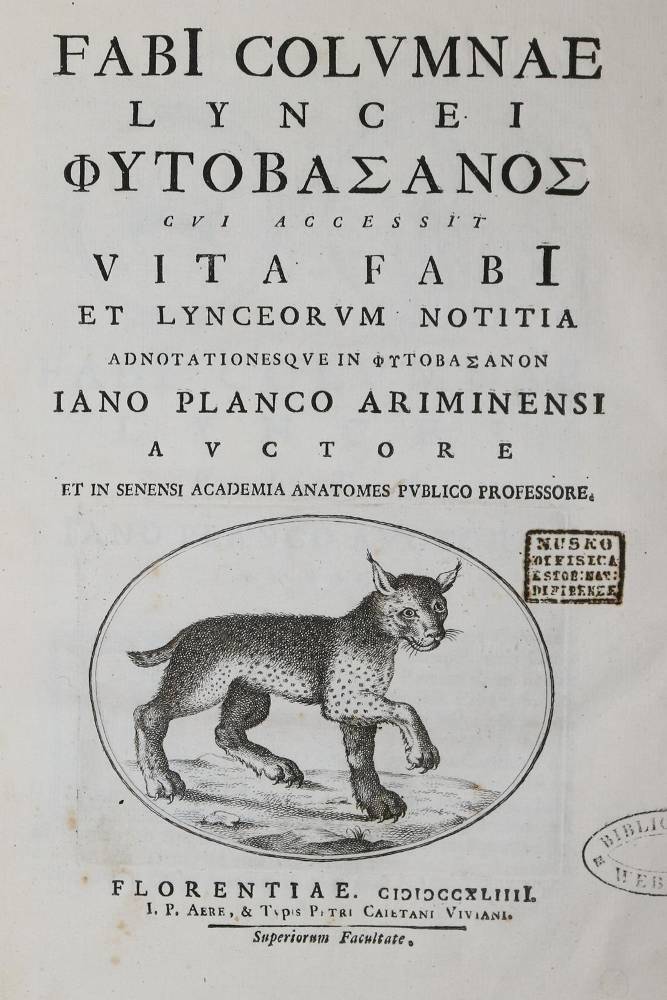 Große Abbildung Nr.2: 138-1624 Colonna,F.: (Botanik)