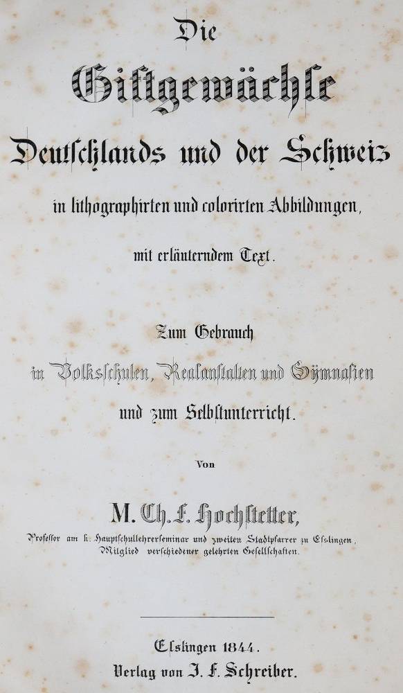 Große Abbildung Nr.1: 138-1630 Hochstetter,C.F.: (Botanik)