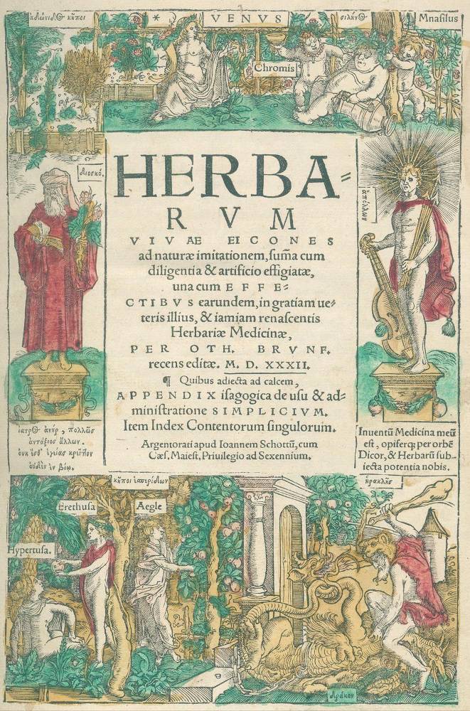 Große Abbildung Nr.1: 138-1637 Brunf(els),O.: (Botanik, Kräuterbücher)