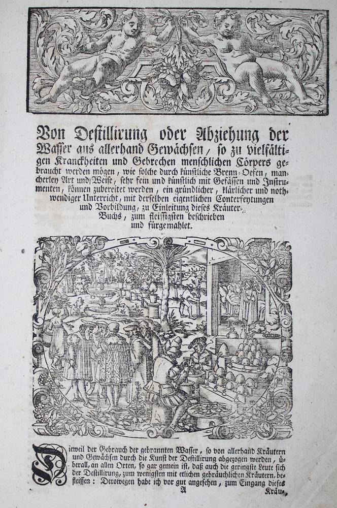 Große Abbildung Nr.3: 138-1641 (Lonicer,A.: (Botanik, Kräuterbücher)