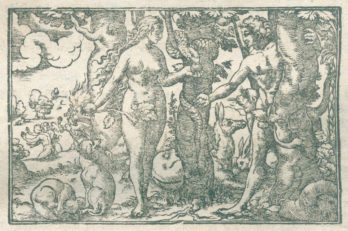 Große Abbildung Nr.2: 138-1643 Lonicer,A.: (Botanik, Kräuterbücher)