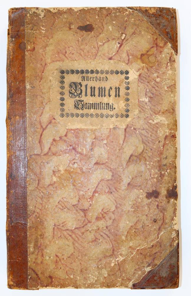 Große Abbildung Nr.139: 138-1647 Morgenstern, Friedrich Wilhelm Christoph: (Botanik)
