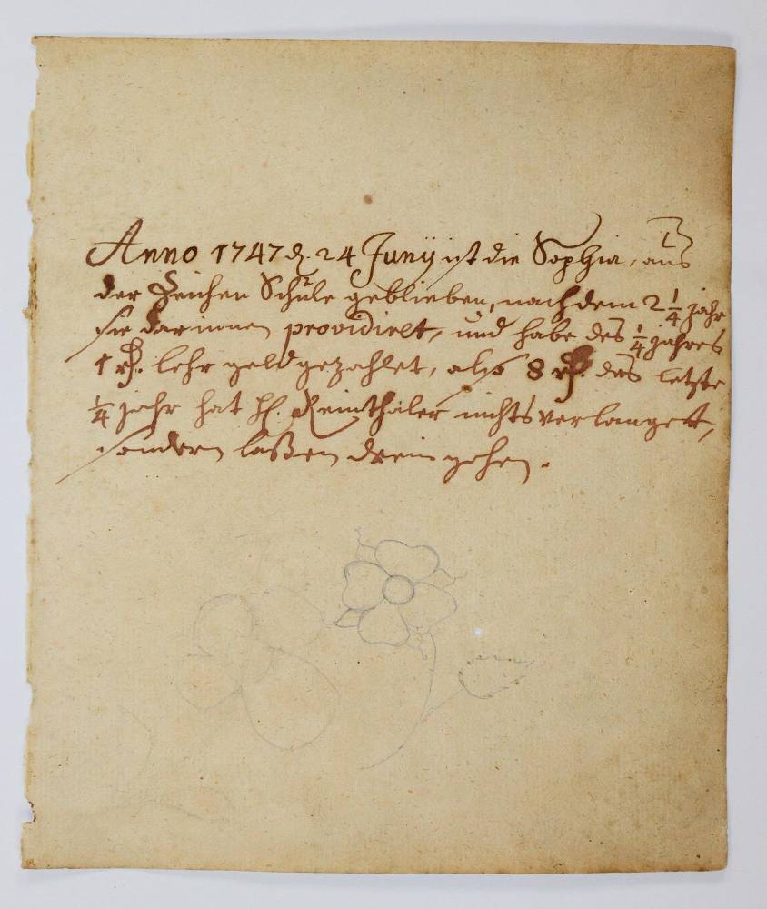 Große Abbildung Nr.3137: 138-1647 Morgenstern, Friedrich Wilhelm Christoph: (Botanik)