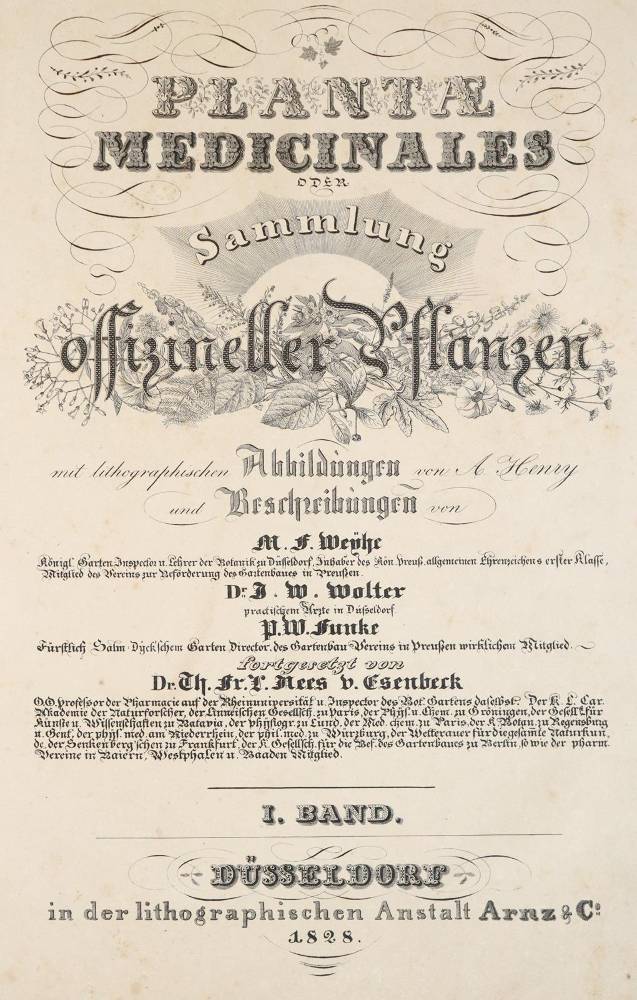 Große Abbildung Nr.1: 138-1649 Nees von Esenbeck,T.F.L.: (Botanik)
