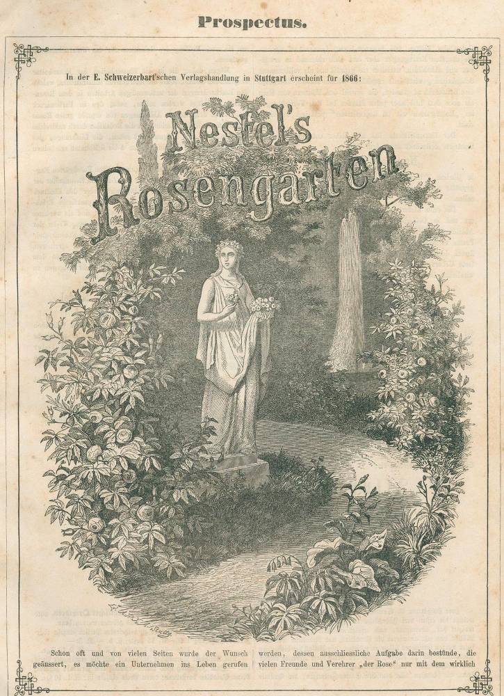 Große Abbildung Nr.1: 138-1650 Nestel,H.: (Botanik)