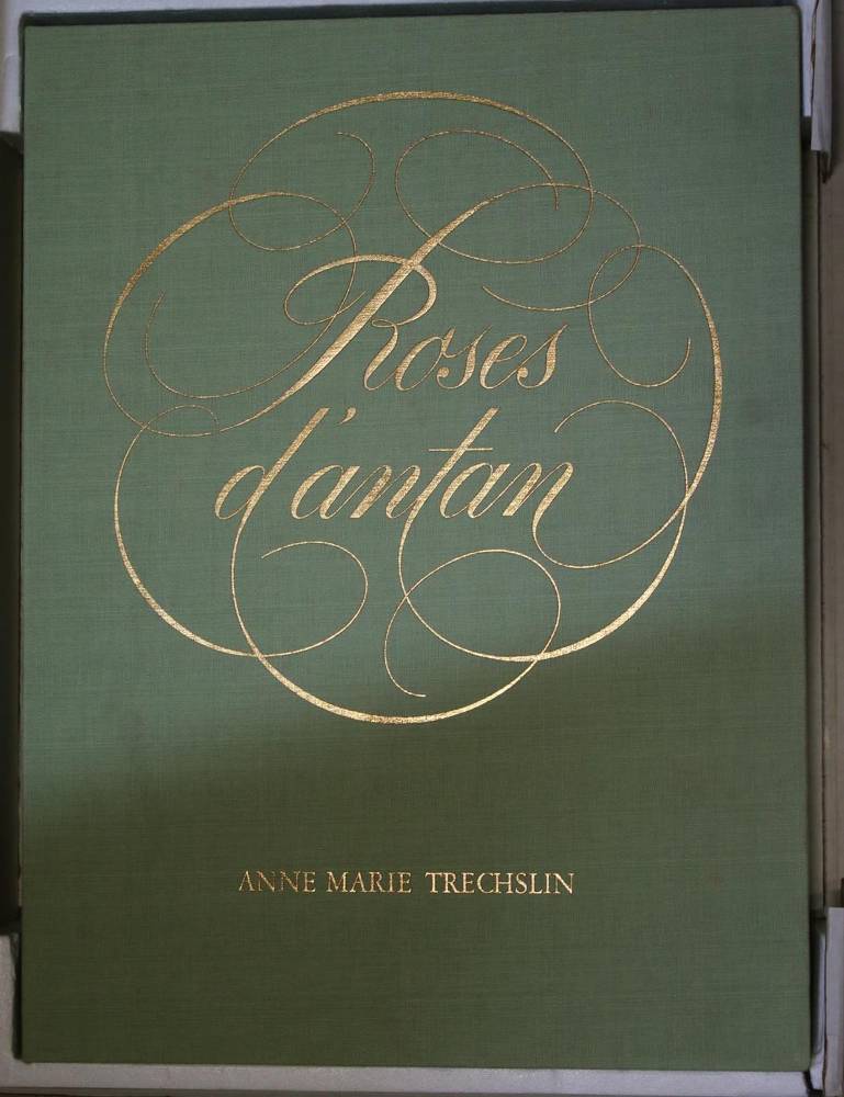 Große Abbildung Nr.4: 138-1657 Trechslin,A.M.: (Botanik, Rosen)