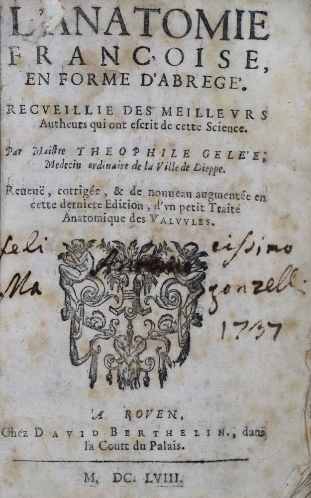 Große Abbildung Nr.2: 138-1699 Gelee,T.: (Medizin)