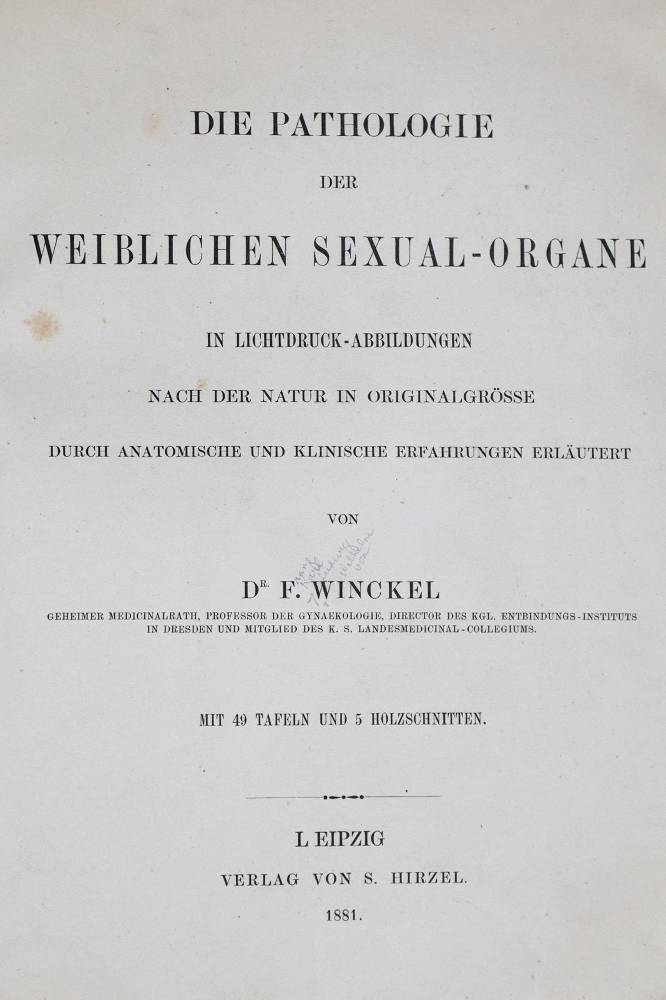 Große Abbildung Nr.1: 138-1702 Winckel,F.: (Medizin, Gynäkologie)