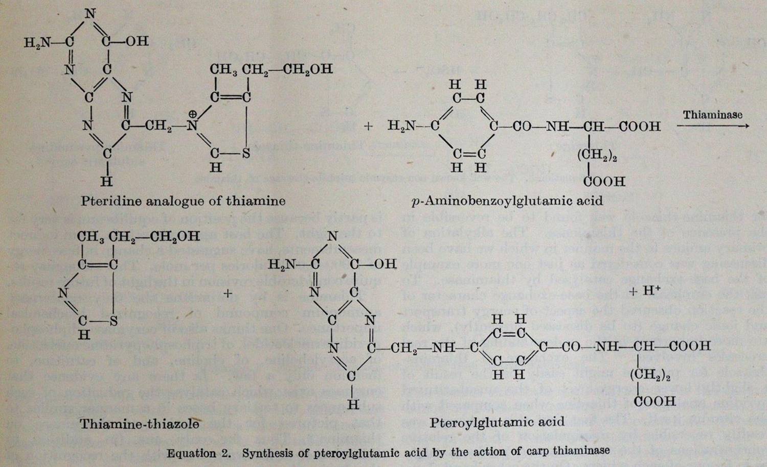 Große Abbildung Nr.5: 138-1759 Watson,J.D. u.a.: (Medizin)