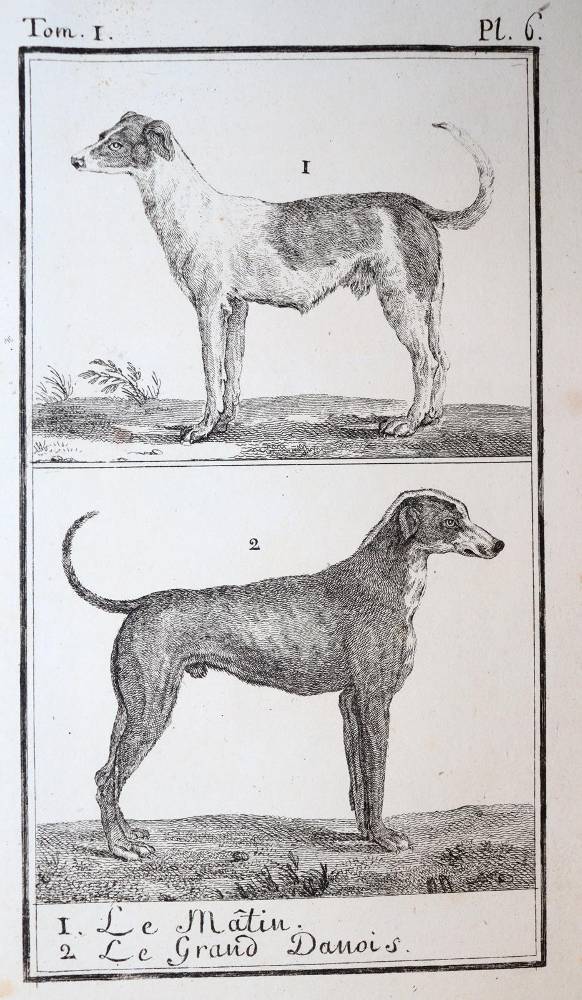 Große Abbildung Nr.5: 138-1765 Buffon,(G.L.L.)de.: (Zoologie)